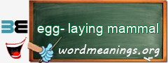 WordMeaning blackboard for egg-laying mammal